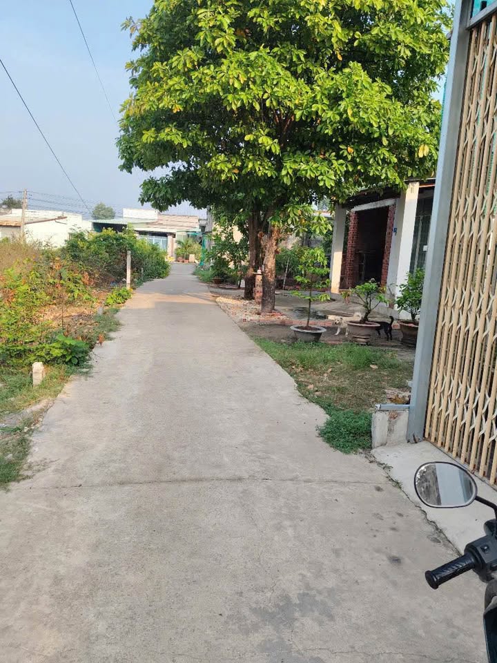 Bán nhà Long Thành Nam Trảng Bàng 100m² 950 triệu - Vị trí đẹp giá tốt hiếm có!