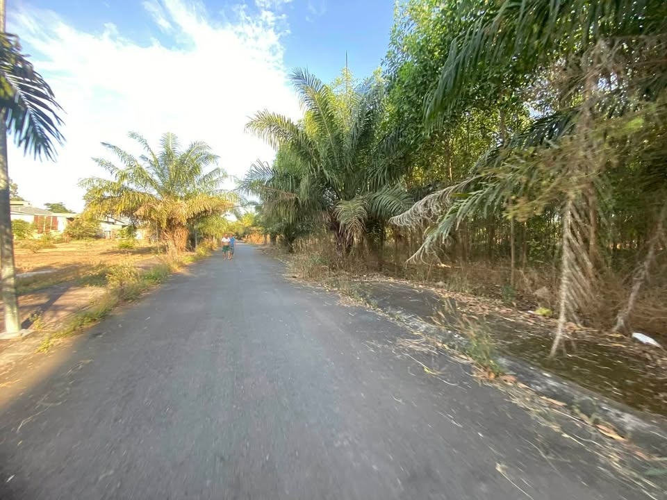 Đất nền An Viễn Trảng Bom 100m² giá 890 triệu - Sổ đỏ chính chủ