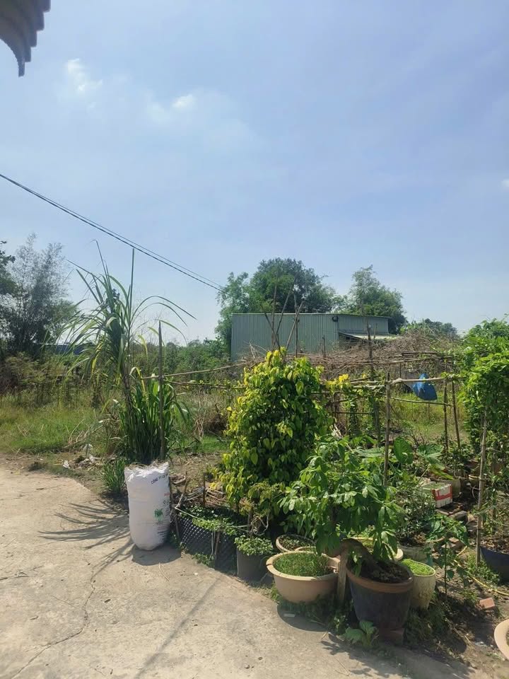 Đất Nền Đức Hòa 36m² - Sổ Hồng Sẵn Sàng - Giá 105 Triệu