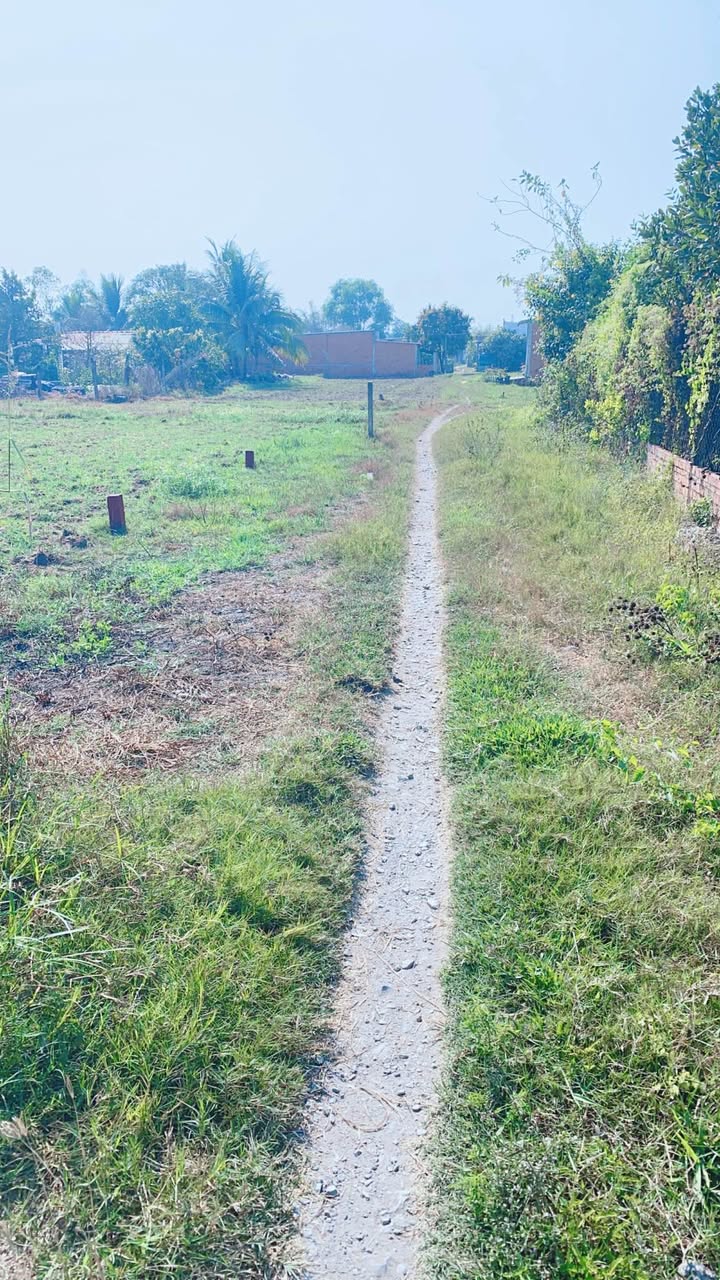 Đất Thổ Cư 150m² Hoa Khánh Nam, Đức Hòa - Sổ Hồng Sẵn Sàng