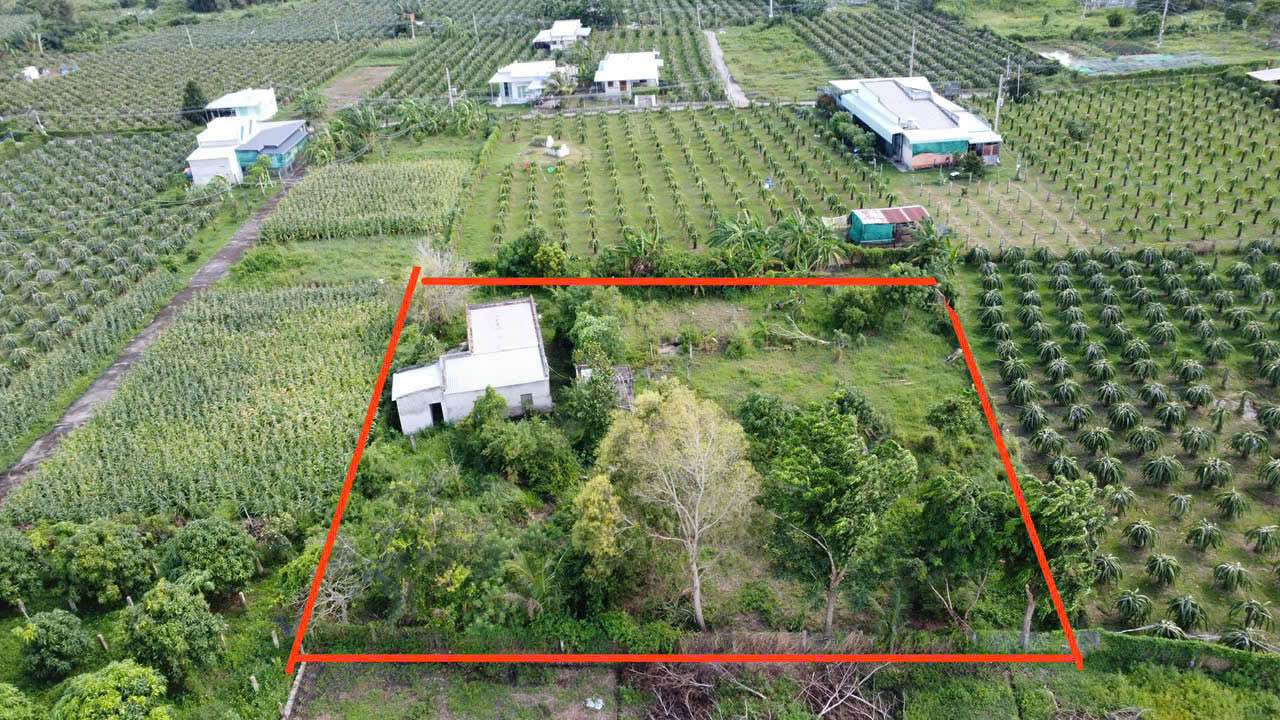 Đất vườn Hàm Hiệp 2000m² giá 1.999 tỷ - Nghỉ dưỡng lý tưởng!