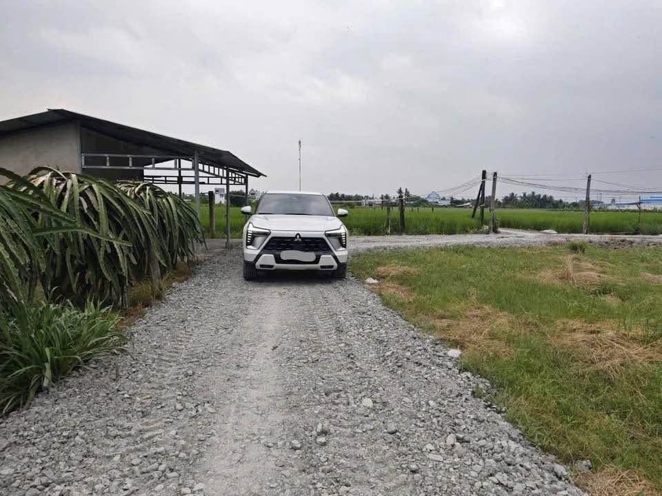 Đất nền Tầm Vu, Tây Ninh 288m² giá 599 triệu - Sổ đỏ chính chủ!