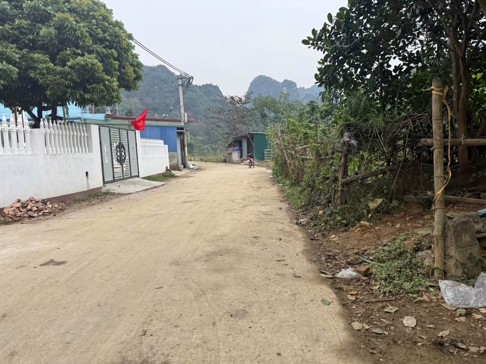 Đất Sổ Hồng 100m² Chương Mỹ - Sẵn Sổ, Gần QL21, Giá 230 Triệu