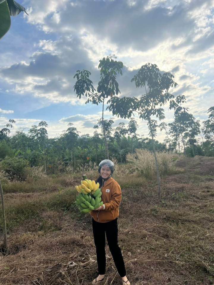 Bán Gấp Đất Vườn Cao Su 2 Hecta - Lộc Thành, Lộc Ninh, Bình Phước - Giá Đầu Tư 20 Tỷ