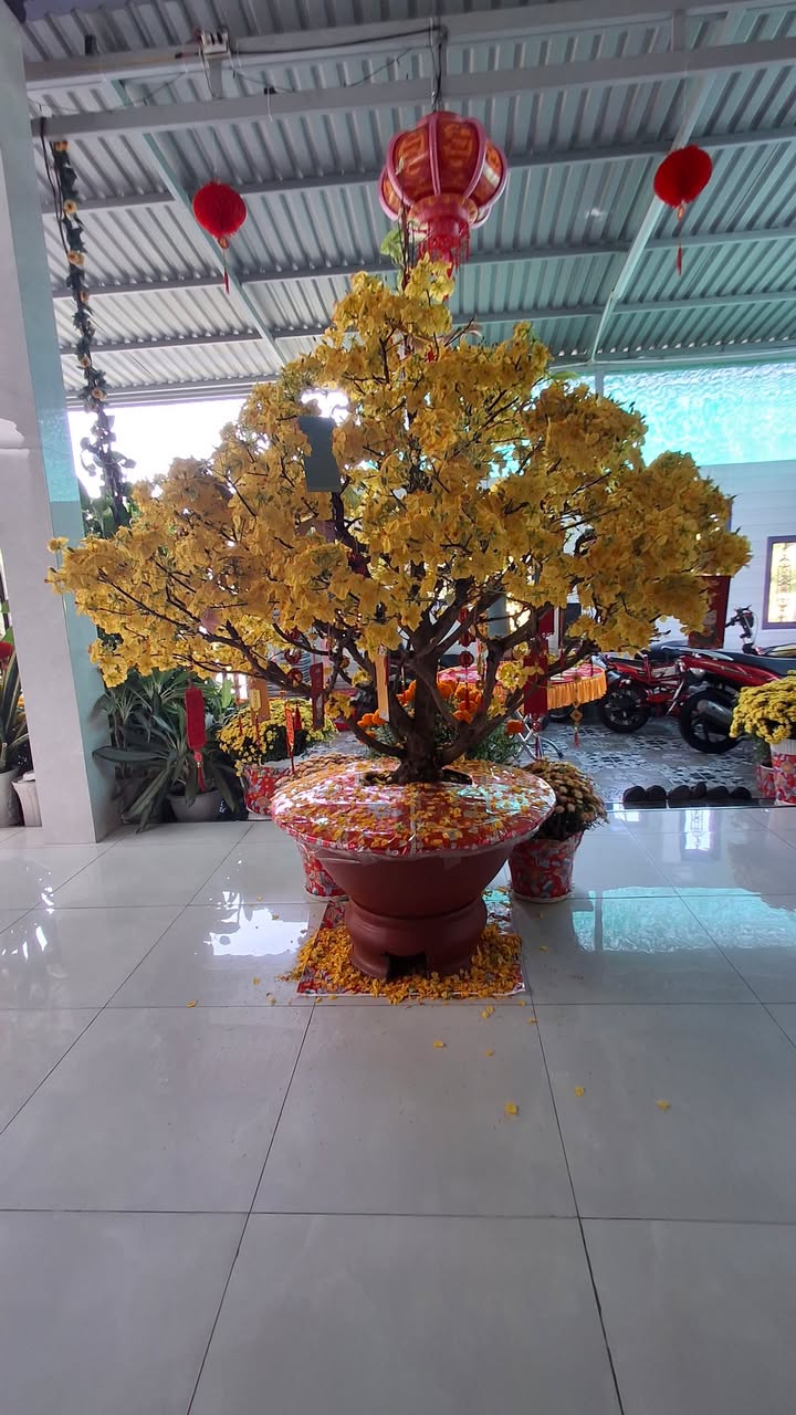 Đất nền Phường 1 TP Tân An 99m² 450 triệu - Sổ đỏ chính chủ!