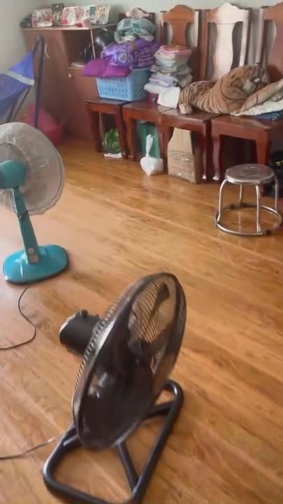 Bán đất Long Thượng Cần Giuộc 45m² giá 900 triệu - Sổ hồng sẵn!