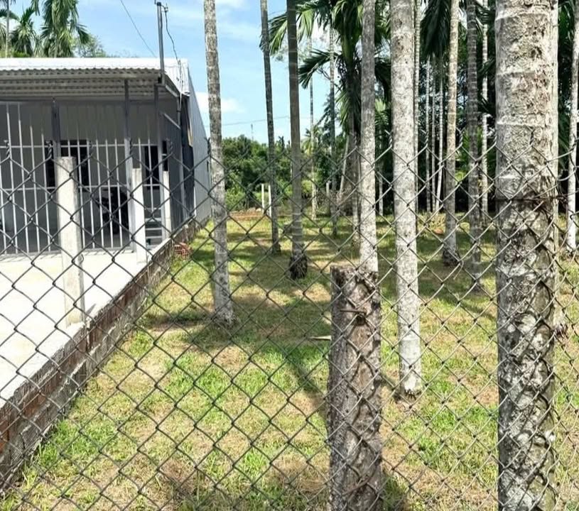 Đất nền 104m² Nghĩa Lộ, Quảng Ngãi - Sổ đỏ chính chủ, giá cực tốt!