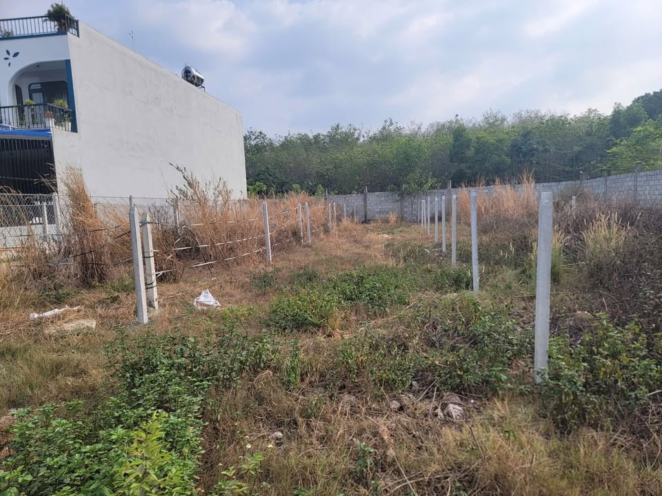 Đất Nền Mặt Tiền Đường Hòa Lợi 22, Bến Cát 150m² Sổ Đỏ Giá 1 Tỷ