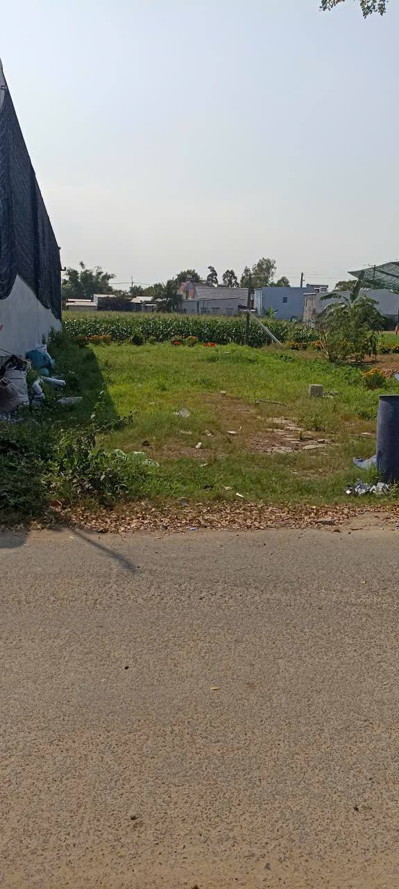 Bán Gấp 2 Nền Thổ Cư MT 280m² Xã Kiến Thành, Chợ Mới - Giá 1.4 Tỷ