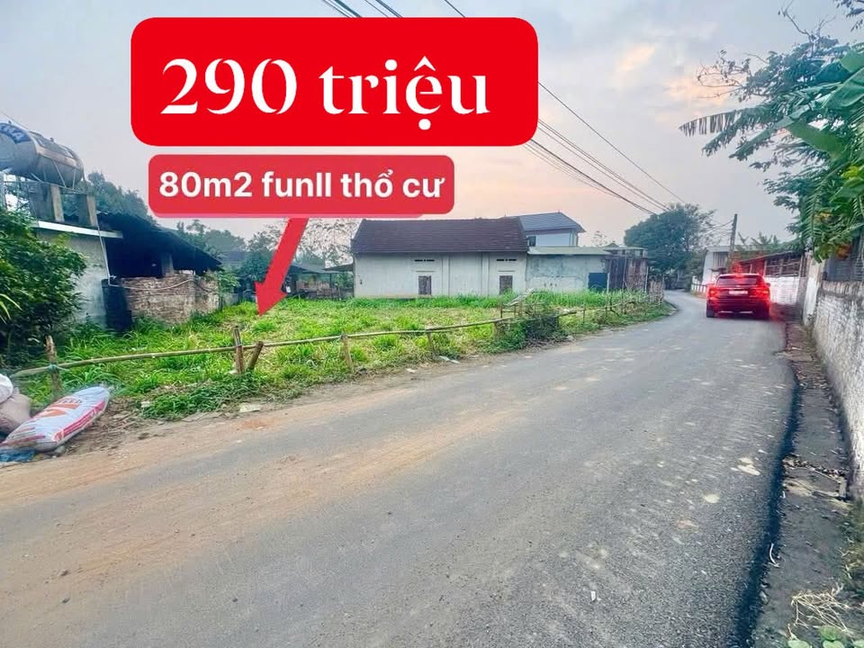 Đất nền Hoàng Hoa, Tam Dương 80m² giá 290 triệu - Sổ đỏ, Đường ô tô