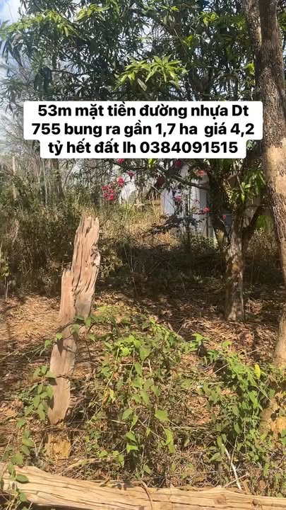 Đất nền Phước Sơn Bù Đăng 1,7ha 4,2 tỷ - Sổ đỏ chính chủ