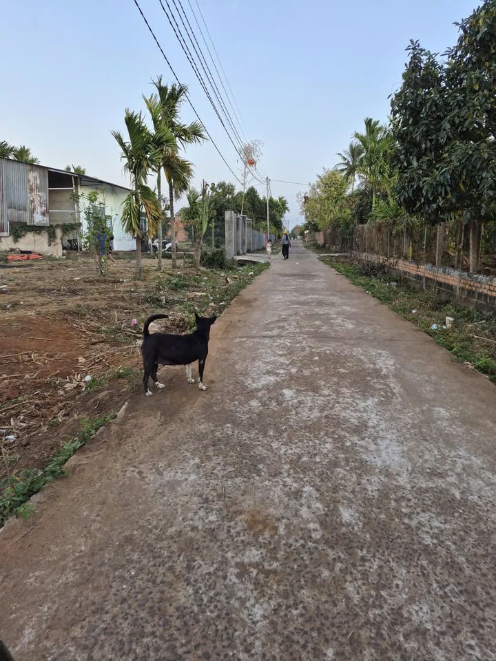 Đất nền Ea Kao Buôn Ma Thuột 260m² giá 570 triệu - Sổ hồng sẵn