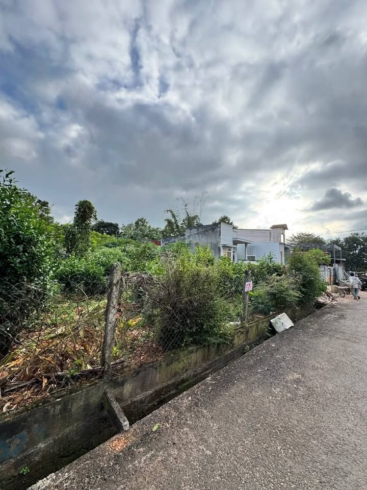 Bán Đất Hẻm 16 Mậu Thân - 92m² Thổ Cư Gần Chợ Đầu Mối BMT