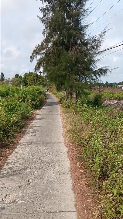 Đất nền TP Bạc Liêu 1000m² - Tiềm năng tăng giá vượt trội!