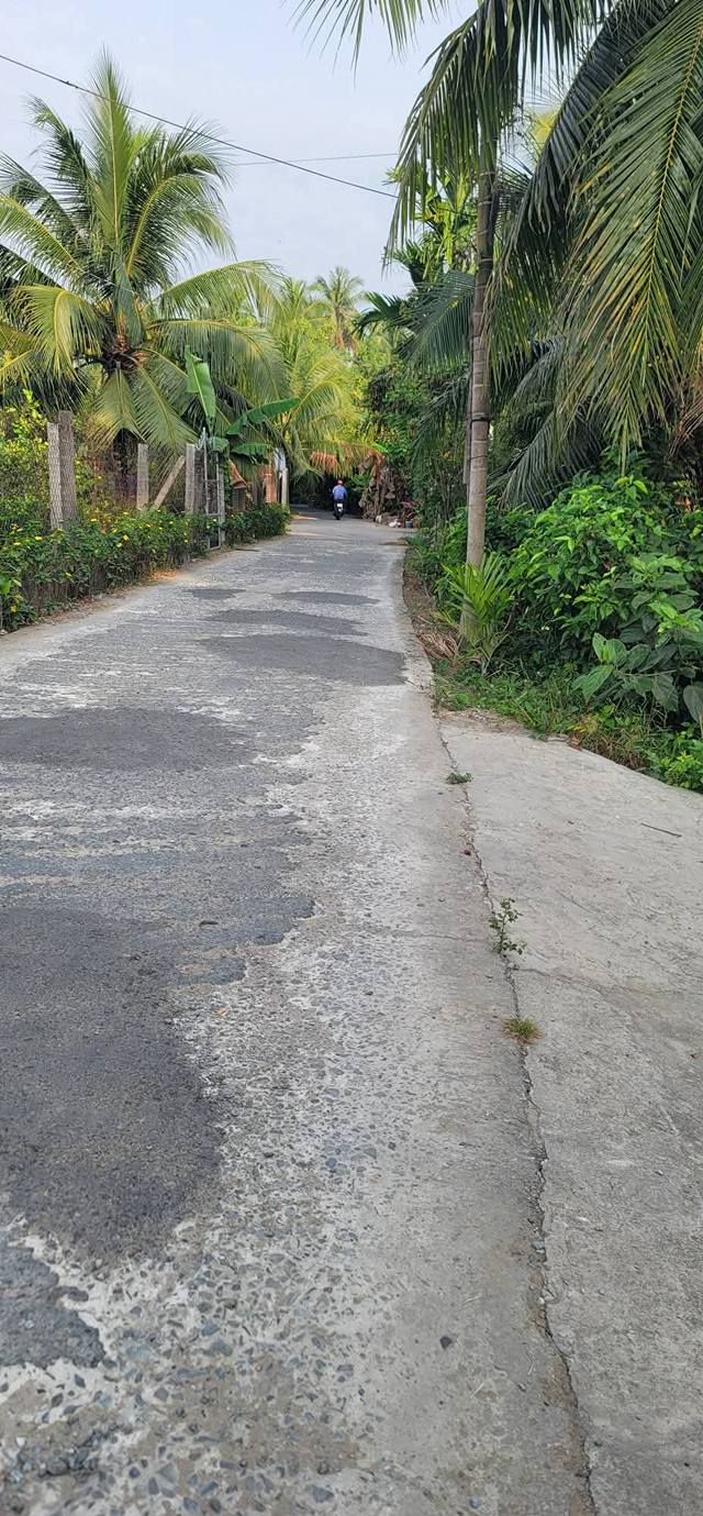 Đất vườn Long Hòa Bình Đại 1400m² giá 1.35 tỷ - Nghỉ dưỡng lý tưởng!