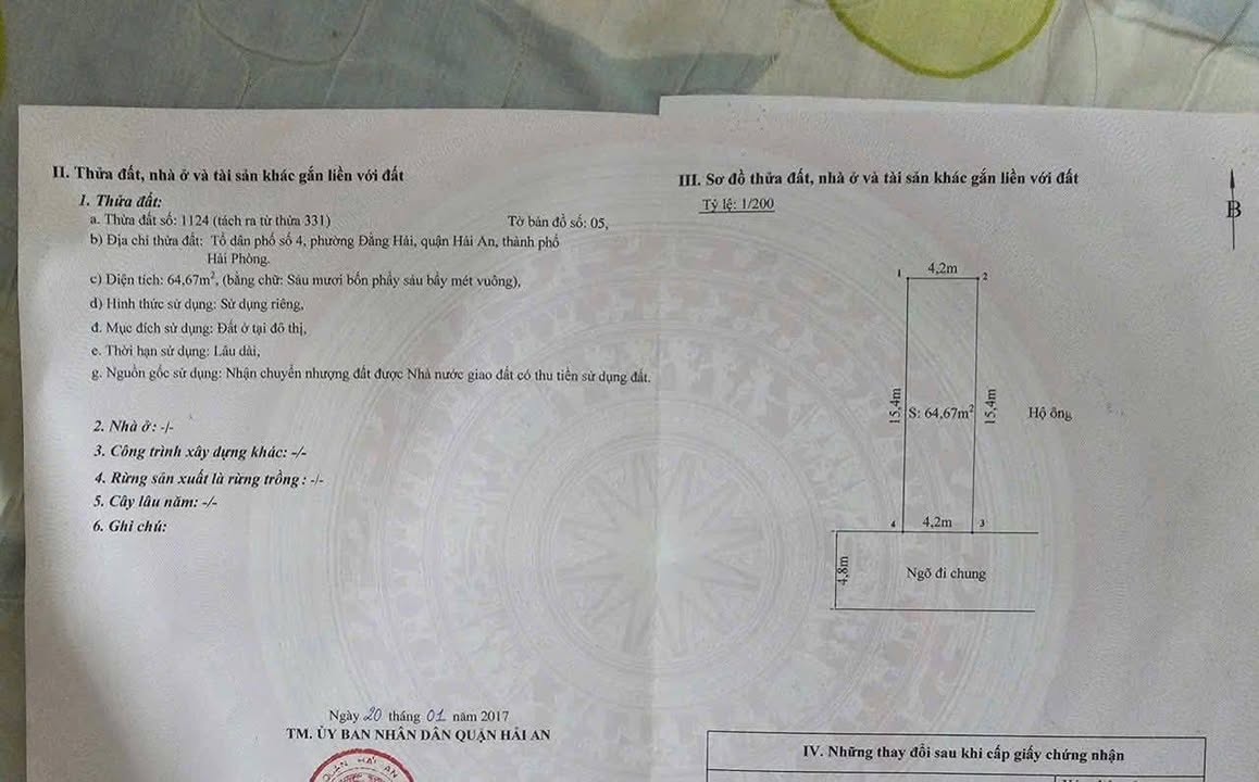 Bán Đất Nền 65m² Đằng Hải, Hải Phòng - Ngõ 5m Ô Tô Vào Nhà