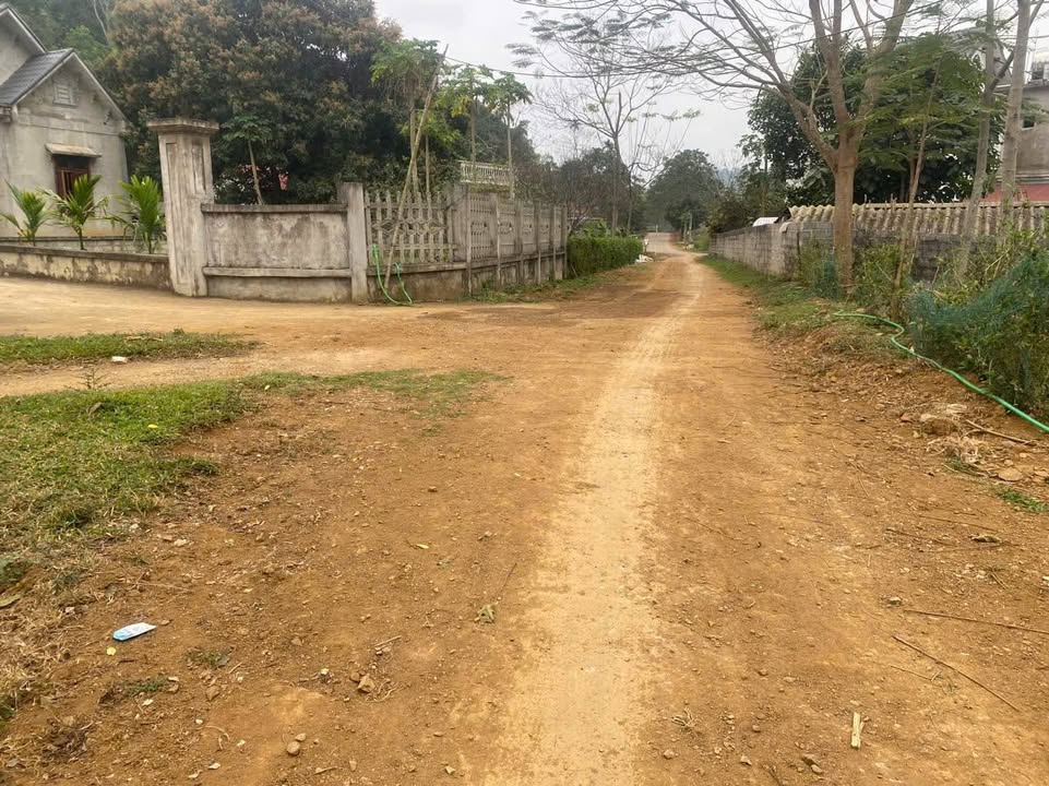 Đất nền Cao Ngọc, Ngọc Lặc, Thanh Hóa từ 138m² - Sổ đỏ chính chủ!