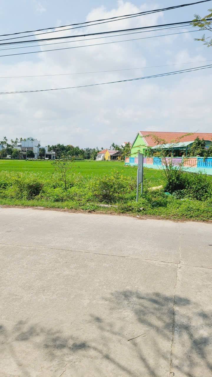 Đất Nền Hội An 150m² View Lúa – Tiềm Năng Tăng Giá Vượt Trội!