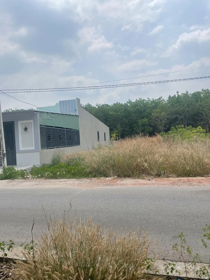 Đất nền Bàu Bàng 250m² - Sổ đỏ thổ cư, gần KCN, giá chỉ hơn 700 triệu