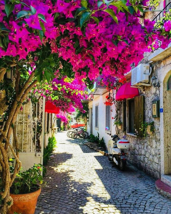 Nhà Cấp 4 Hẻm Chợ Dinh, Quy Nhơn 60m² - Giá 1.55 Tỷ, Sẵn Sàng Ở Ngay