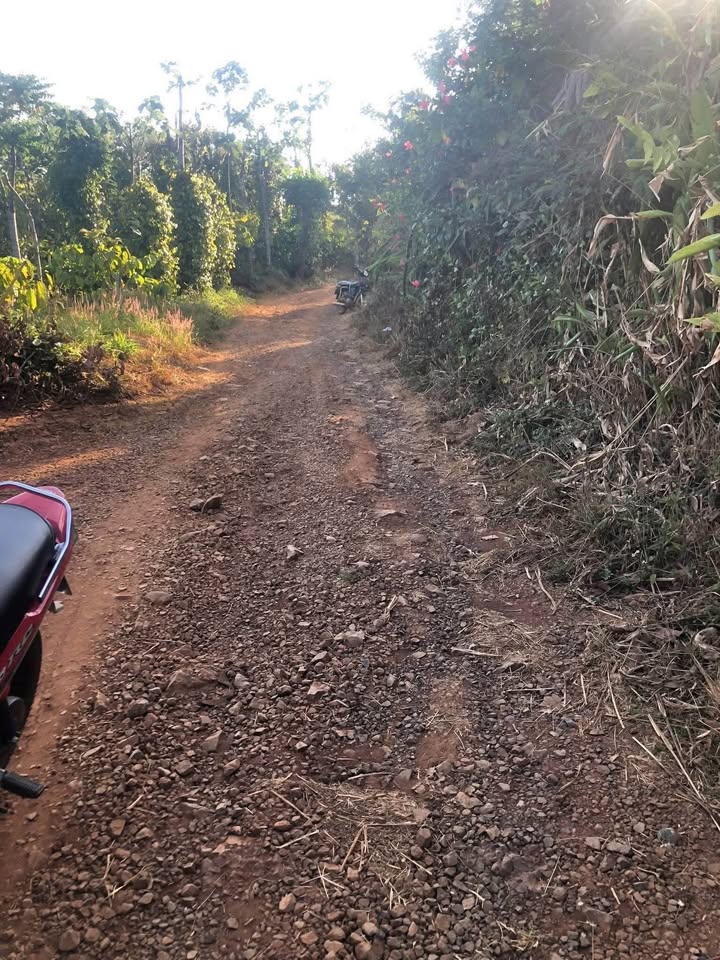 Đất Vườn Ea Khal 1.2ha 3.5 tỷ - Sinh Thái Xanh, Tiềm Năng Vàng!