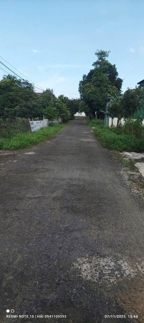 Bán Đất Mặt Tiền Đường Nhựa Khánh Xuân, BMT - 125m² - 1.05 Tỷ