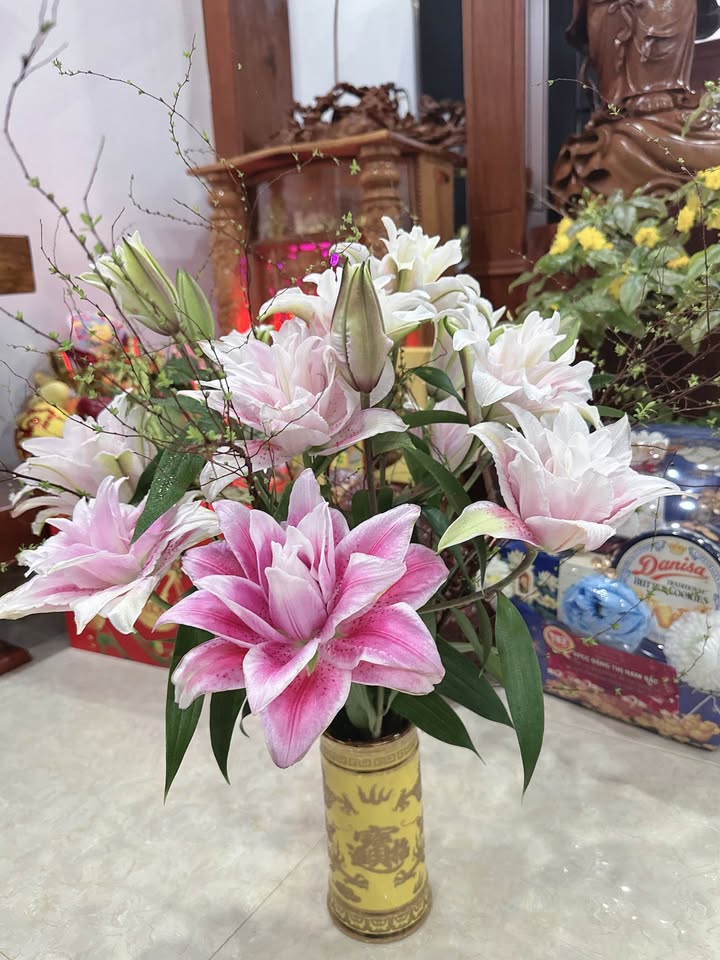 Đất Nền Ea Bar, Buôn Đôn 145m² - Sổ Đỏ Chính Chủ, Công Chứng Ngay!