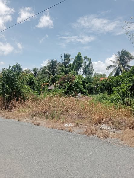 Đất nền Cai Lậy 768m² - Nở hậu tài lộc, ô tô tới đất!