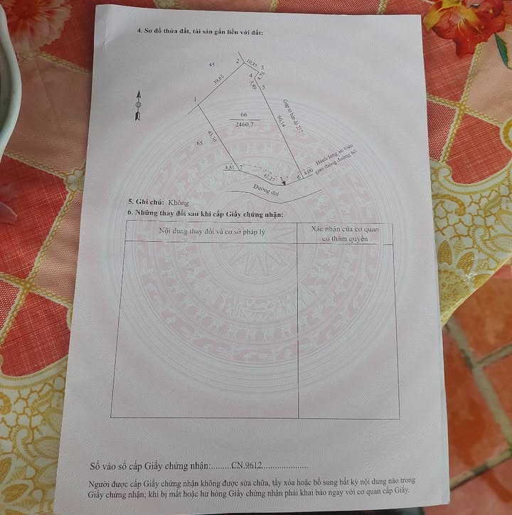 Đất vườn Tân Khánh Trung 2460m² giá 1.476 tỷ - Đầu tư dài hạn