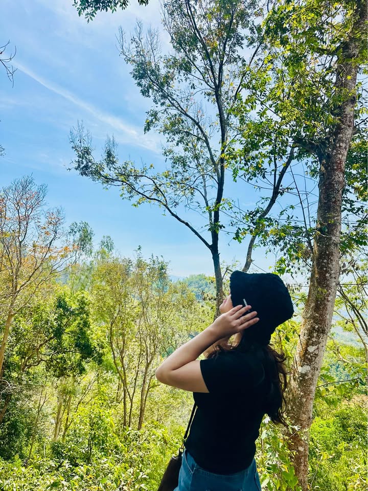 Đất nền Hoàng Minh Giám BMT 240m² 17.9 tỷ - Đất thổ cư 100%