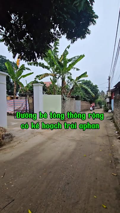 Nhà phố Thị trấn Thắng 256m² - Mặt tiền kinh doanh sầm uất!