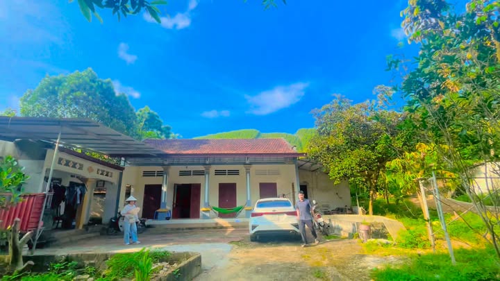 Đất trang trại Hợp Lý, Lập Thạch 4934m² - Giá đầu tư cực tốt!