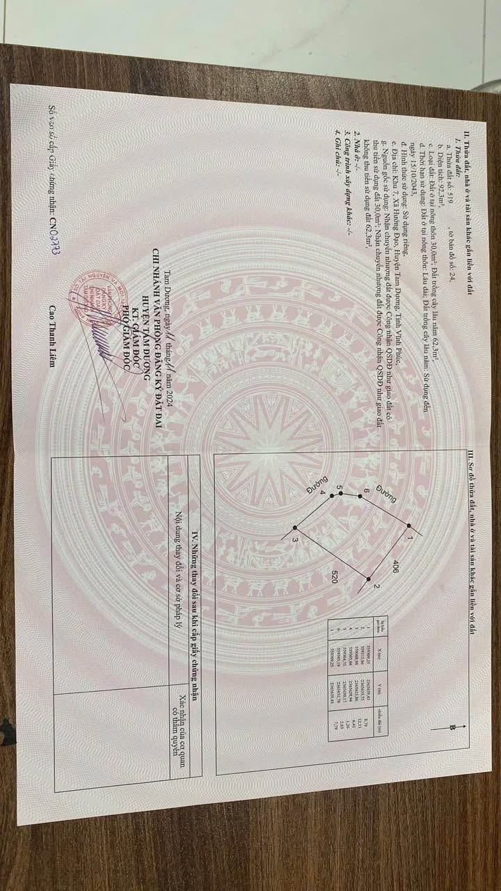 Đất Góc Hướng Đạo, Tam Dương 92.3m² - Giá Đầu Tư < 700 Triệu