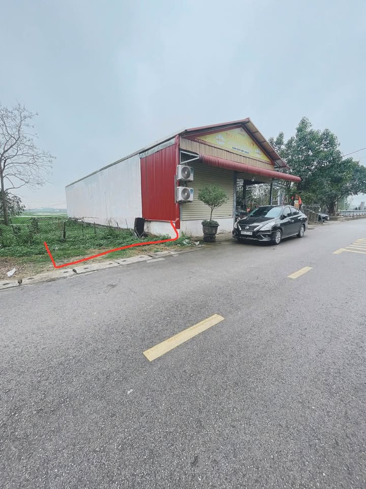 Đất nền Tam Dương 100m² - Pháp lý rõ ràng, đầu tư sinh lời!