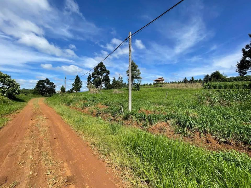 Đất nền Đạ Rsal, Lâm Đồng 993m² - View hồ Cai Bảng, Sổ đỏ chính chủ!