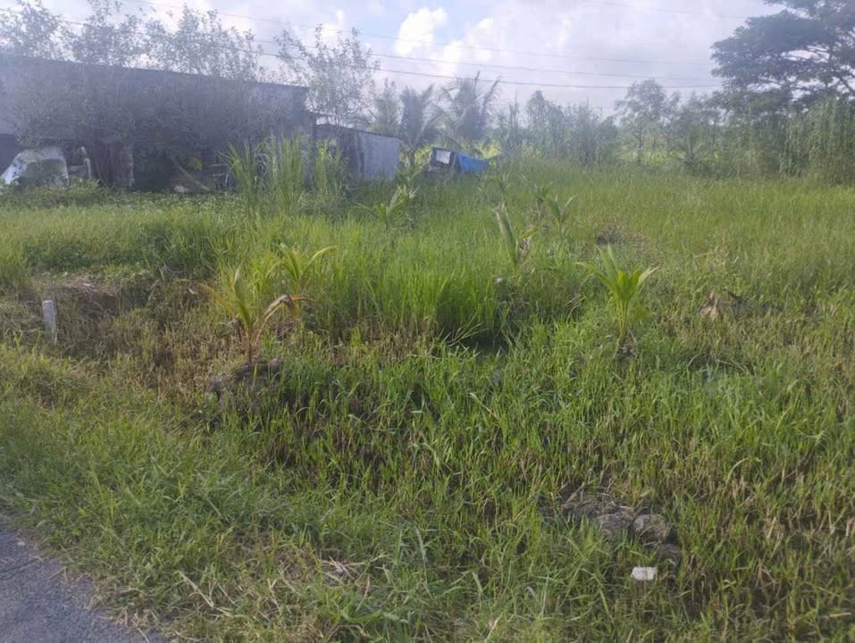 Đất nền Trường An Vĩnh Long 116m² 200 triệu - Tiềm năng tăng giá