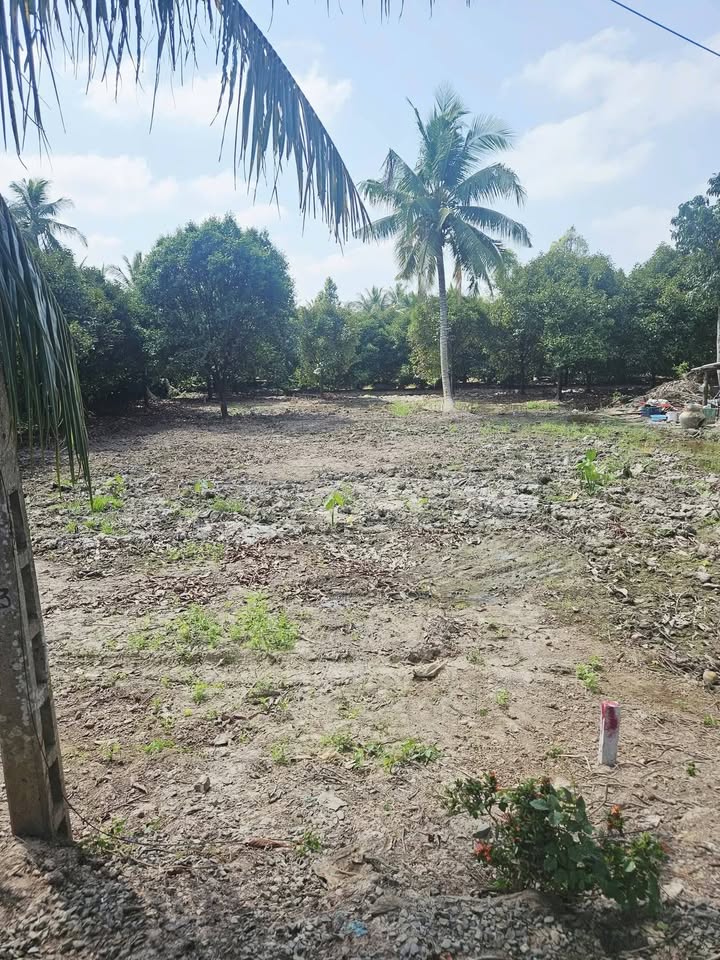 Bán Nền Đất Vĩnh Long 175m² Giá 279 Triệu - Sổ Thổ Cư