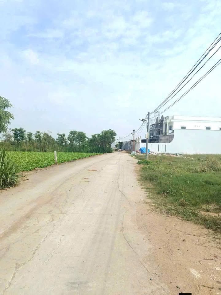 Đất nền Long Hưng, Tiền Giang 175m² - Đường to ô tô!