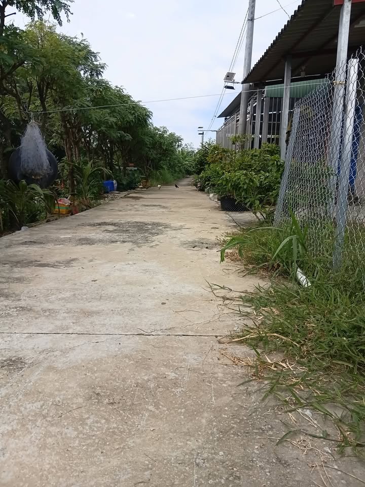 Đất nền Kiểng Phước Gò Công Đông 115m² - Đất thổ cư 100%