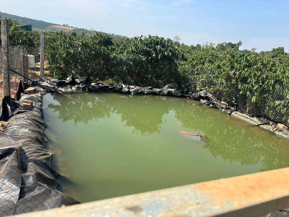 Bán Gấp Đất Vườn Tân Hà, Lâm Đồng: 1872m² Cà Phê, Sổ Đỏ, Giá 3.5 Tỷ