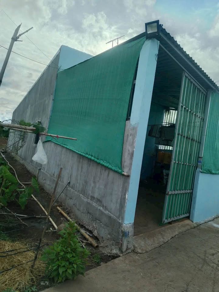 Nhà Cấp 4 133m² Láng Dài, Đất Đỏ - 799 Triệu, Đường Xe Hơi