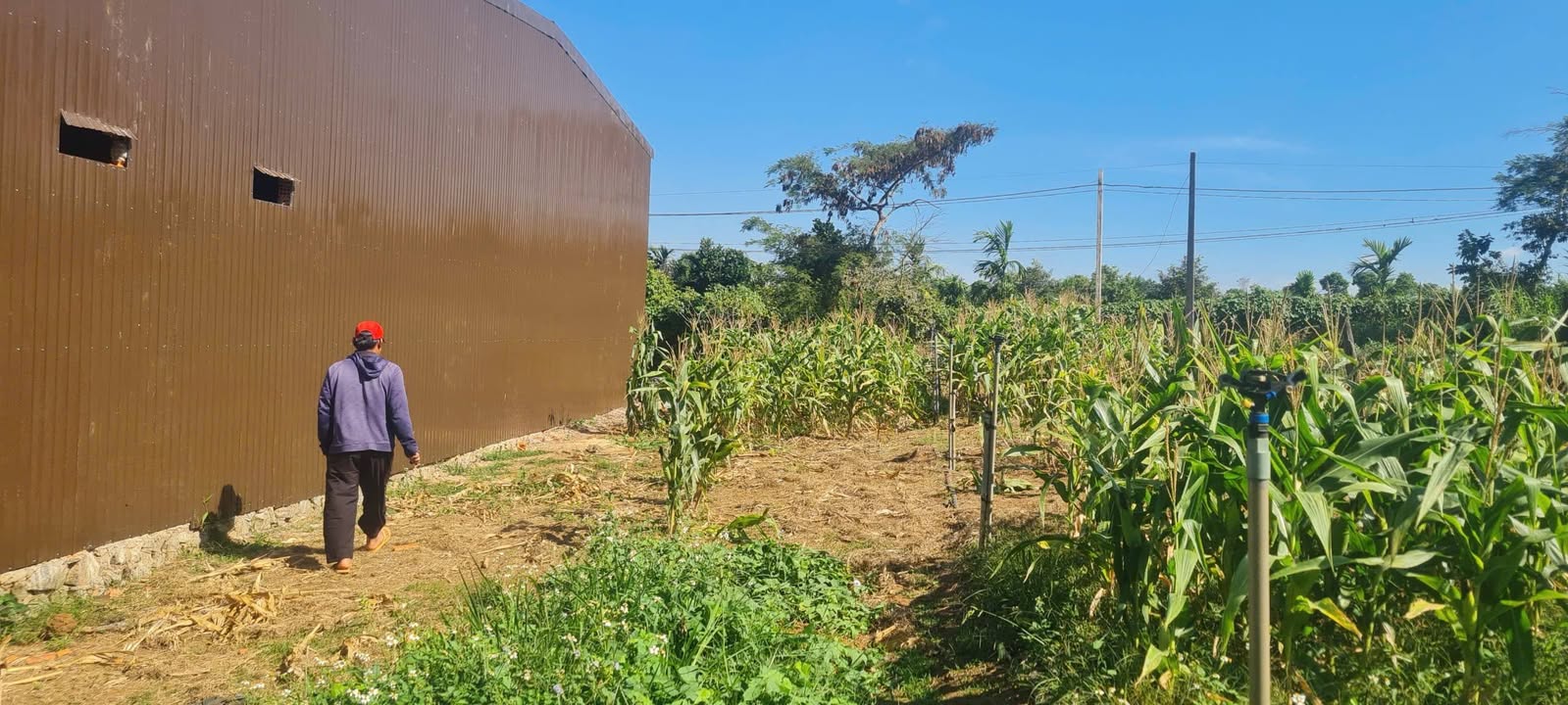 Đất Cư ÊBur Buôn Ma Thuột 300m² giá 350 triệu - Sổ đỏ chính chủ