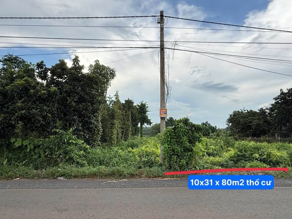 Đất nền Suối Nghệ 310m² - Tiềm năng tăng giá vượt trội!