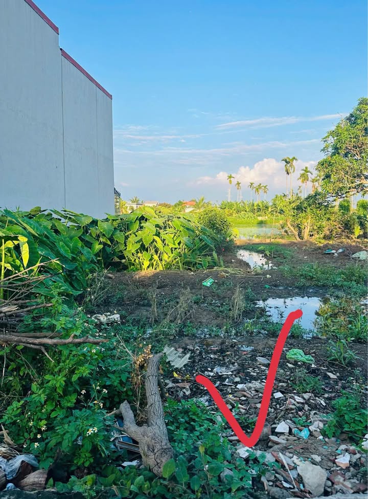 Bán Đất Nền 100.8m² Phường Đồng Hoà, Hải Phòng - Sổ Đỏ Chính Chủ, Gần BV Tiệp 2