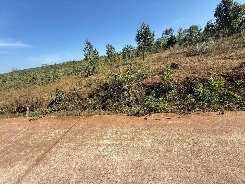 Đất Nền Cẩm Mỹ 212m² Sổ Đỏ Riêng - Gần KCN Phú Xuân