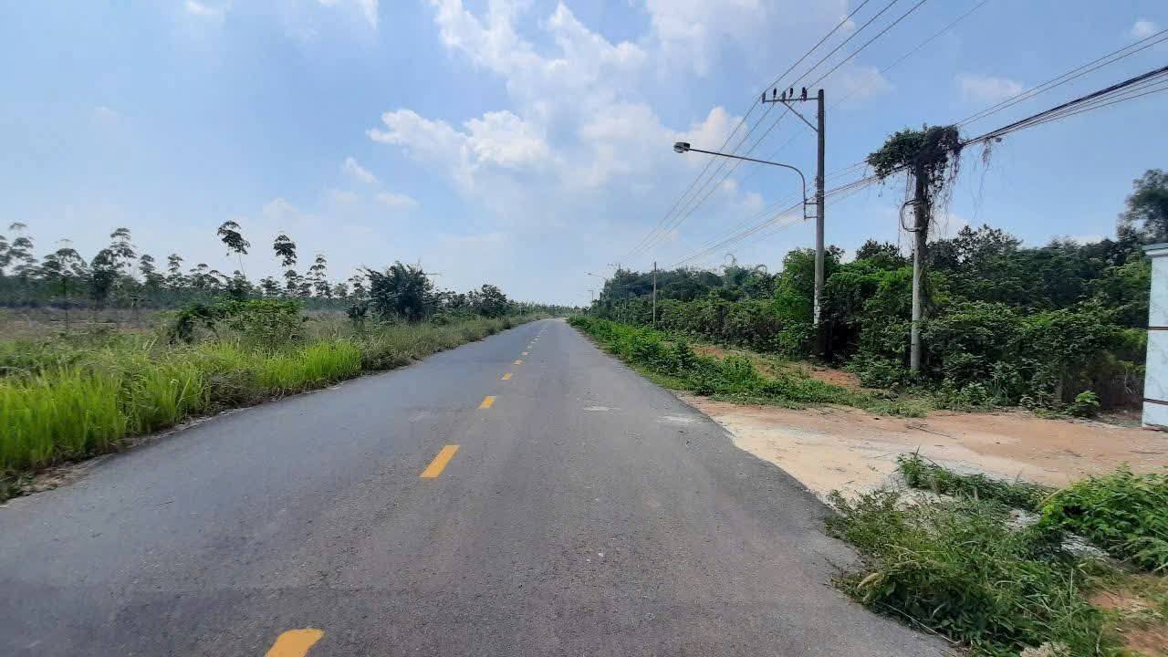 Bán Gấp 35.000m² Đất Cao Su Sổ Hồng Tại Bắc Tân Uyên, Bình Dương - Gần KCN
