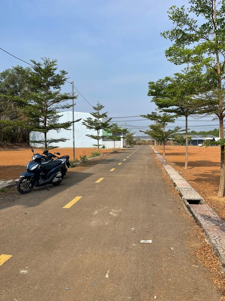 Đất nền 125m² sổ đỏ tại Trảng Bom - Gần KCN Bầu Xéo, giá tốt