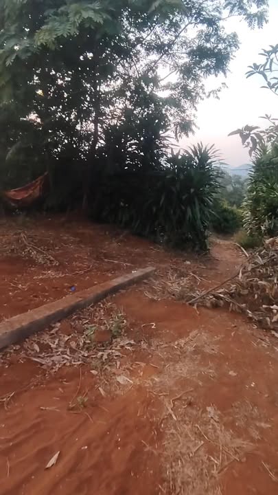 Bán Đất Vườn Gia Lai 5 Sào - 50 Cây Sầu Riêng, Gần Tỉnh Lộ 664, Giá 1.2 Tỷ