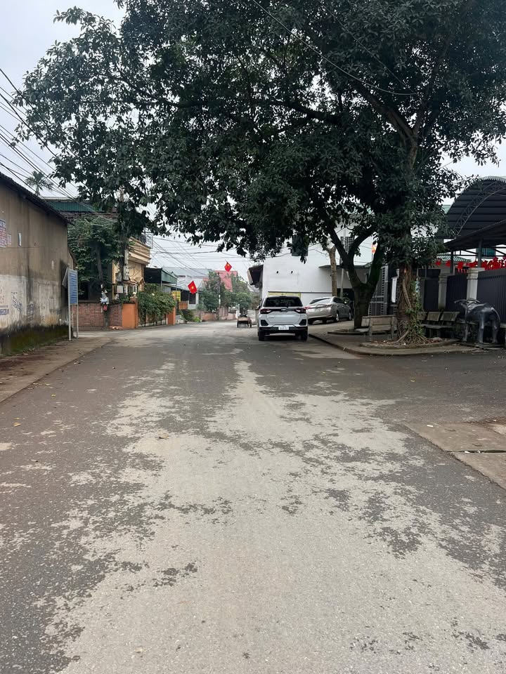 Đất Nông Trang Việt Trì 101m² - Đường to ô tô, kinh doanh đỉnh!