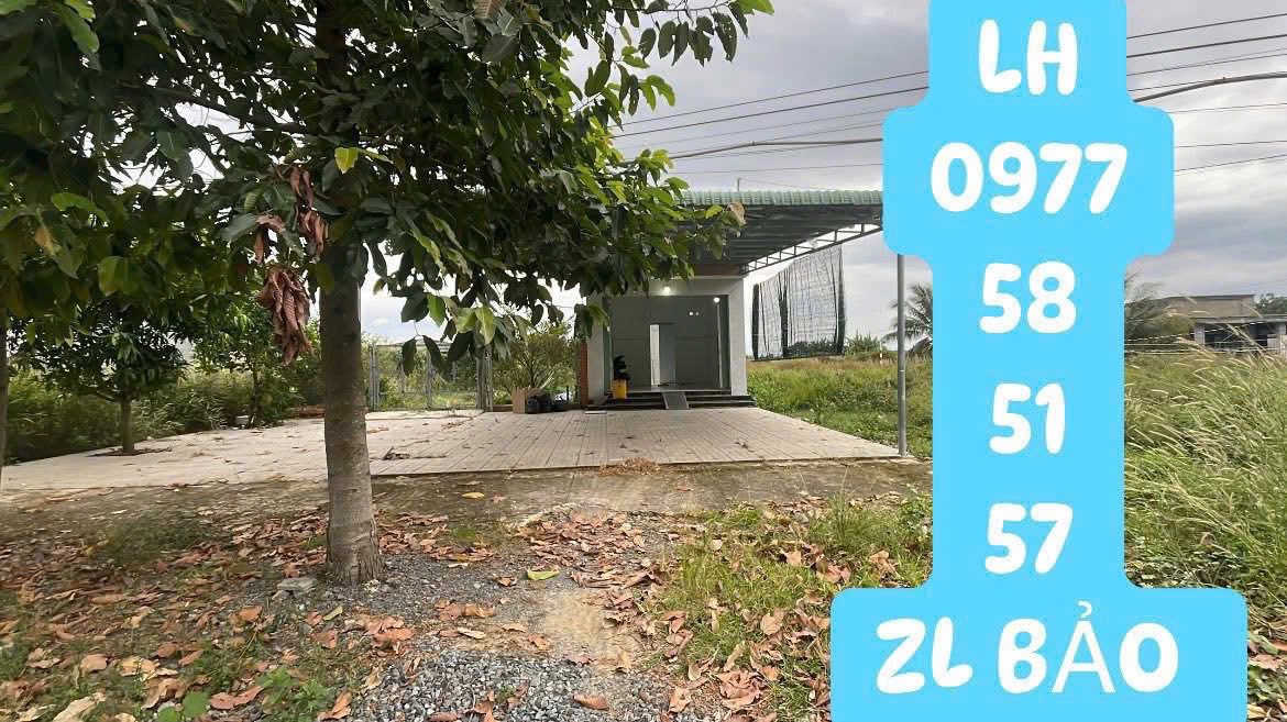 Cho thuê mặt bằng 1000m² Lộ 10, Tây Ninh - Kinh doanh/Kho xưởng